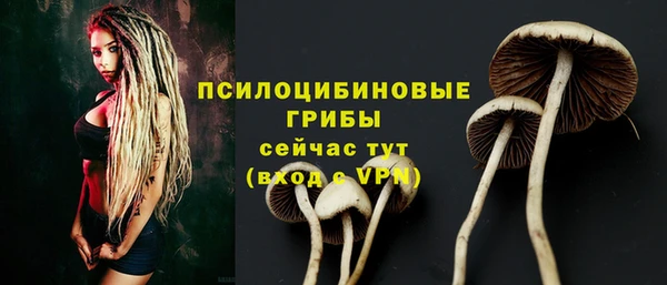 герыч Белокуриха